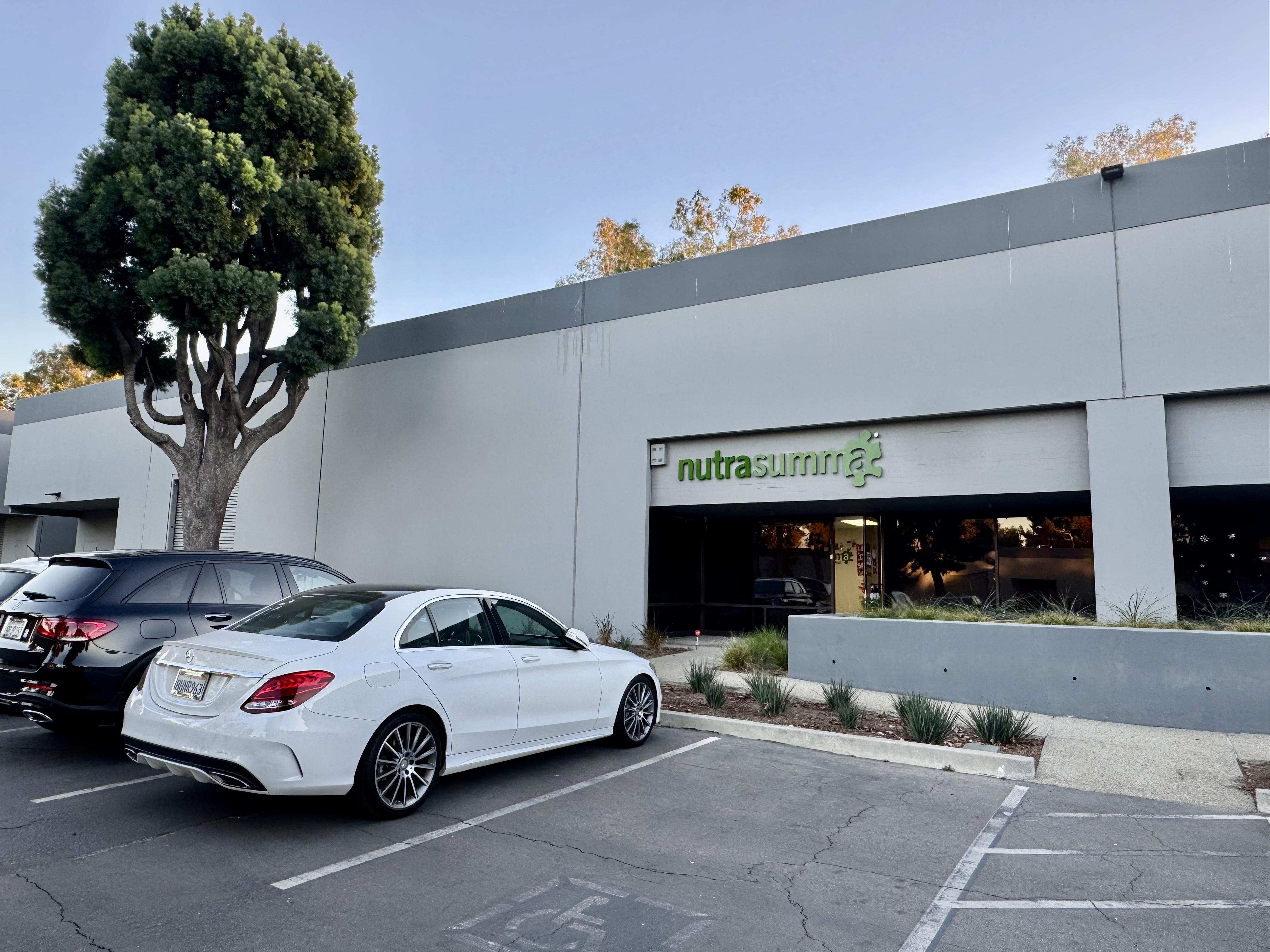 久久久www成人免费无遮挡大片