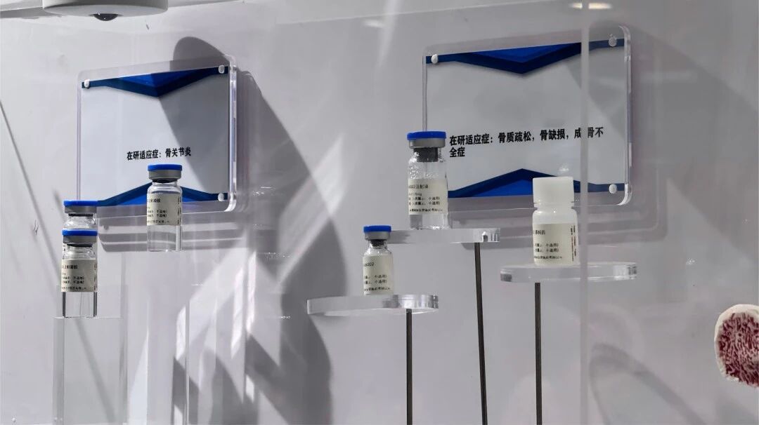 久久久www成人免费无遮挡大片