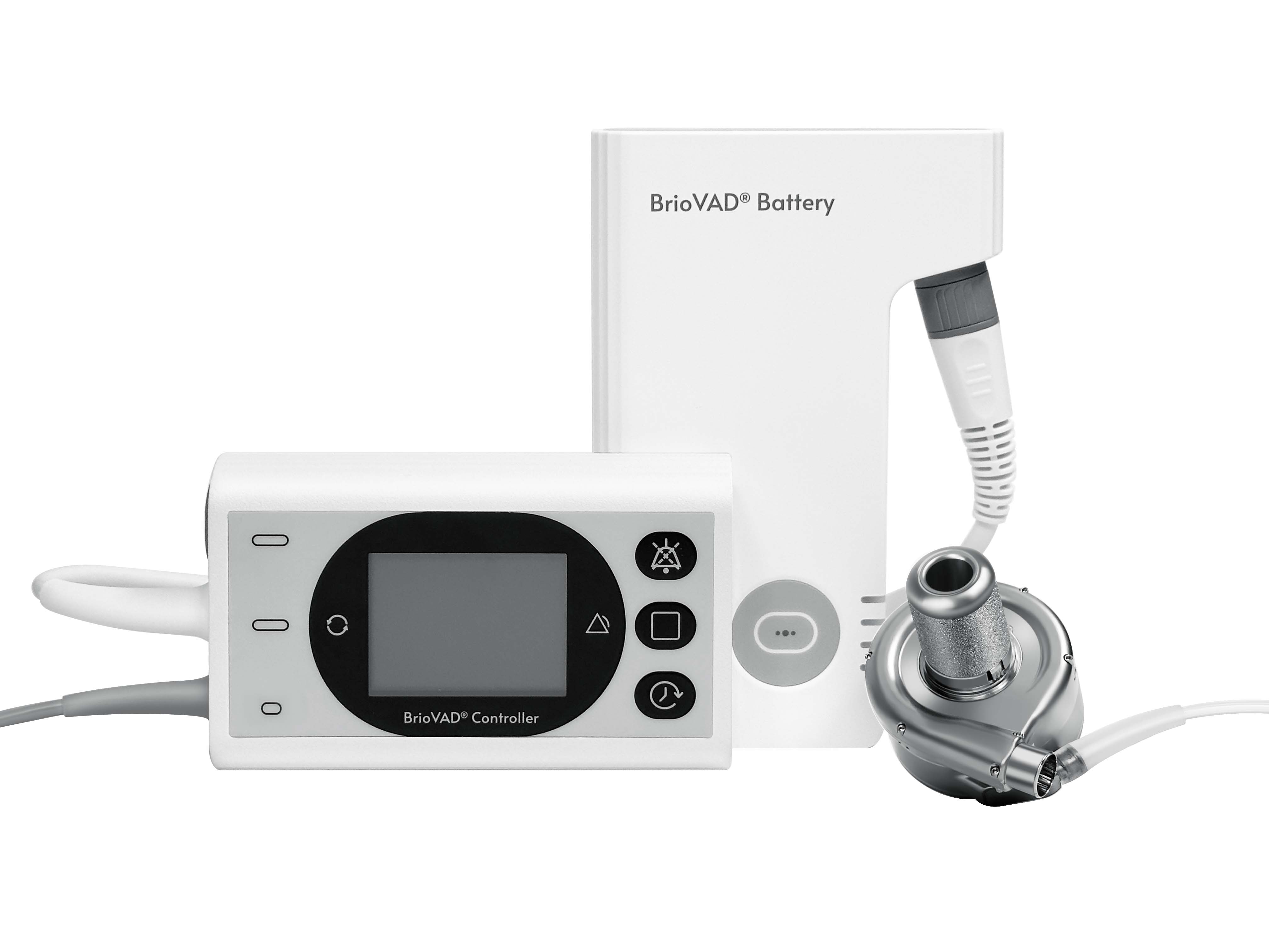 久久久www成人免费无遮挡大片