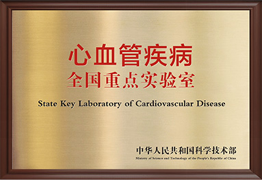 久久久www成人免费无遮挡大片