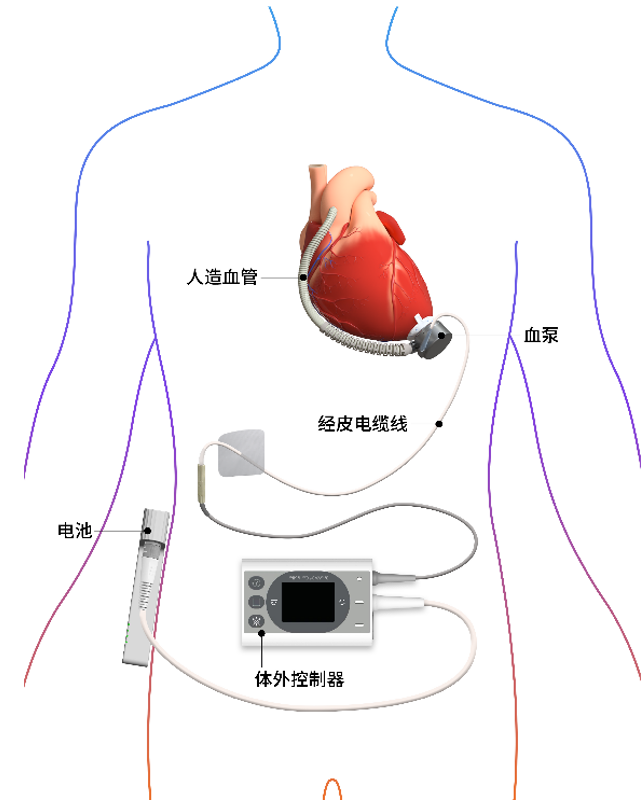 久久久www成人免费无遮挡大片