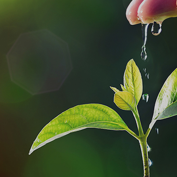 久久久www成人免费无遮挡大片