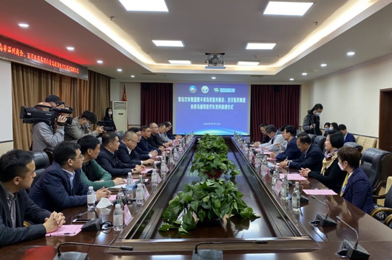 久久久www成人免费无遮挡大片